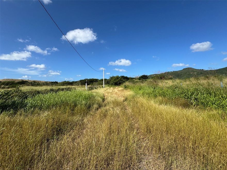 Excellent opportunity to own 1.04 cuerdas (~1.01 acres / approx. 44,100 sq ft) of agricultural land in Santa Isabel, PR, located in Barrio Jueyes, Sector Cayure. Zoned SREP-A, allowing agricultural use and the potential to build a single-family home. The property features an adjacent irrigation water canal, ideal for farming. Conveniently close to Autopista Luis A. Ferré (PR-52), offering easy access while maintaining a peaceful rural setting. Approximate coordinates: 18.010040, -66.363136. Great investment—call for details.