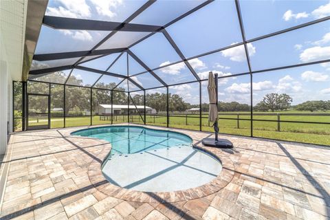 Tiny photo for 280 NE 150th Avenue, Williston, FL 32696 (MLS # OM711871)