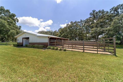 Tiny photo for 280 NE 150th Avenue, Williston, FL 32696 (MLS # OM711871)