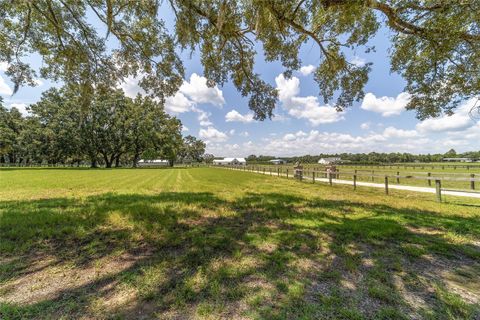 Tiny photo for 280 NE 150th Avenue, Williston, FL 32696 (MLS # OM711871)