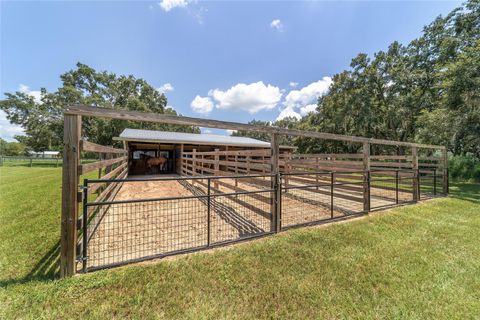 Tiny photo for 280 NE 150th Avenue, Williston, FL 32696 (MLS # OM711871)