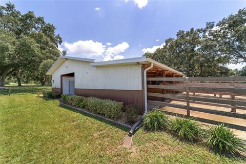 Tiny photo for 280 NE 150th Avenue, Williston, FL 32696 (MLS # OM711871)