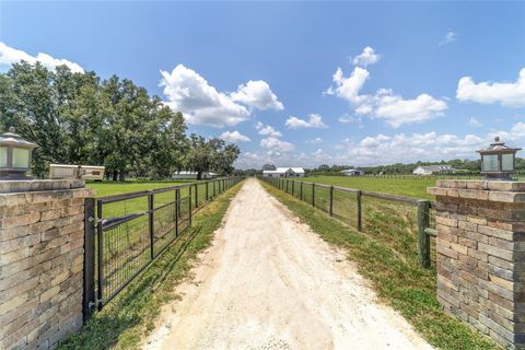 Tiny photo for 280 NE 150th Avenue, Williston, FL 32696 (MLS # OM711871)