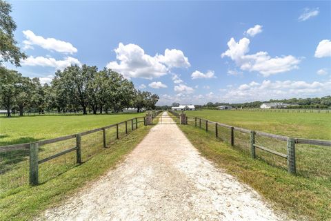 Tiny photo for 280 NE 150th Avenue, Williston, FL 32696 (MLS # OM711871)