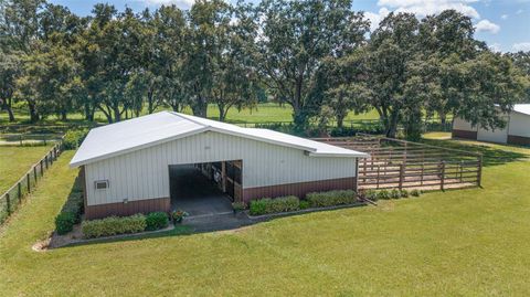 Tiny photo for 280 NE 150th Avenue, Williston, FL 32696 (MLS # OM711871)