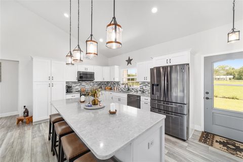 Tiny photo for 280 NE 150th Avenue, Williston, FL 32696 (MLS # OM711871)
