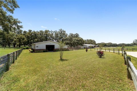 Tiny photo for 280 NE 150th Avenue, Williston, FL 32696 (MLS # OM711871)
