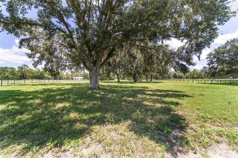 Tiny photo for 280 NE 150th Avenue, Williston, FL 32696 (MLS # OM711871)