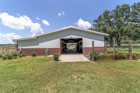 Tiny photo for 280 NE 150th Avenue, Williston, FL 32696 (MLS # OM711871)