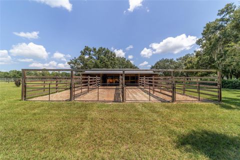 Tiny photo for 280 NE 150th Avenue, Williston, FL 32696 (MLS # OM711871)