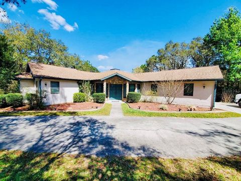 Photo of 585 E Foresthill Place, Hernando, FL 34442 (MLS # TB8482425)