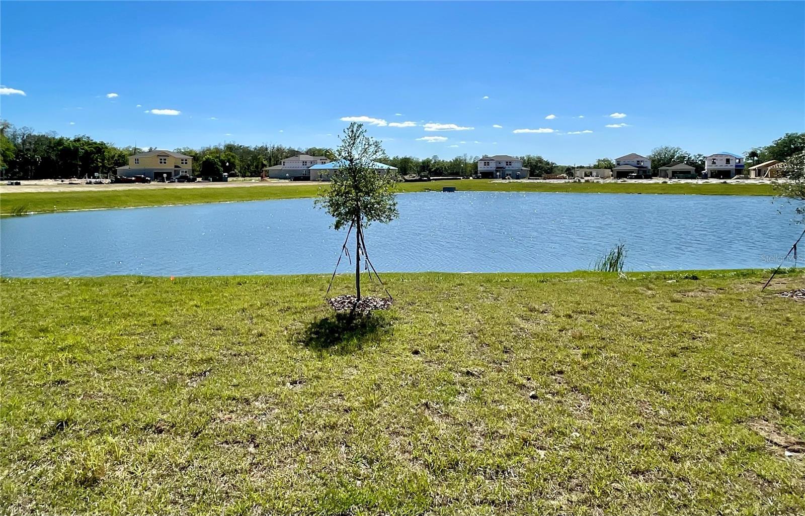 CYPRESS HAMMOCK - Residential