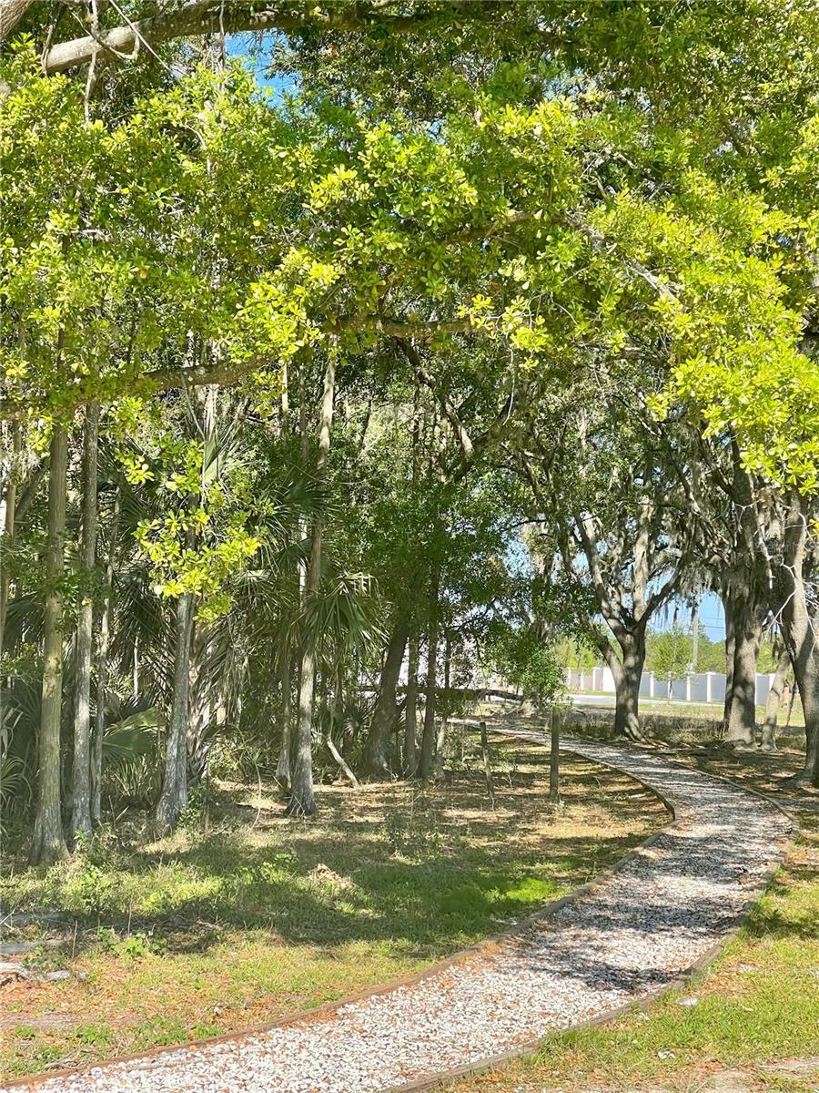 CYPRESS HAMMOCK - Residential