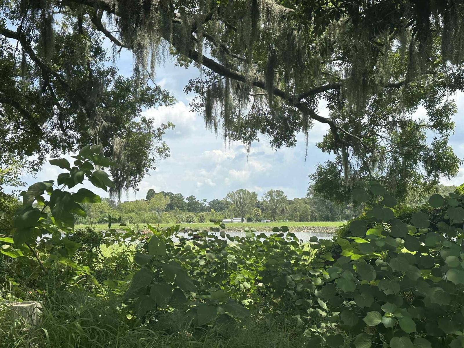 STATE HWY FARMS 33 TO 48 - Land