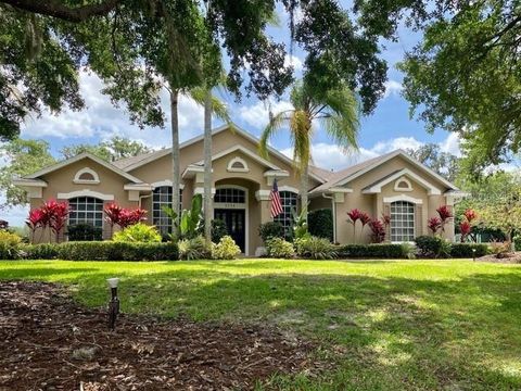 Photo of 5224 Hammock Pointe Court, Saint Cloud, FL 34771 (MLS # O6332483)