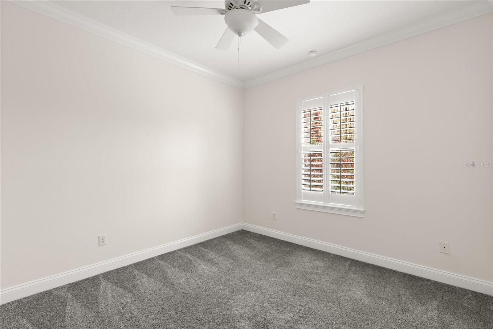 DIXIE TERRACE - Residential