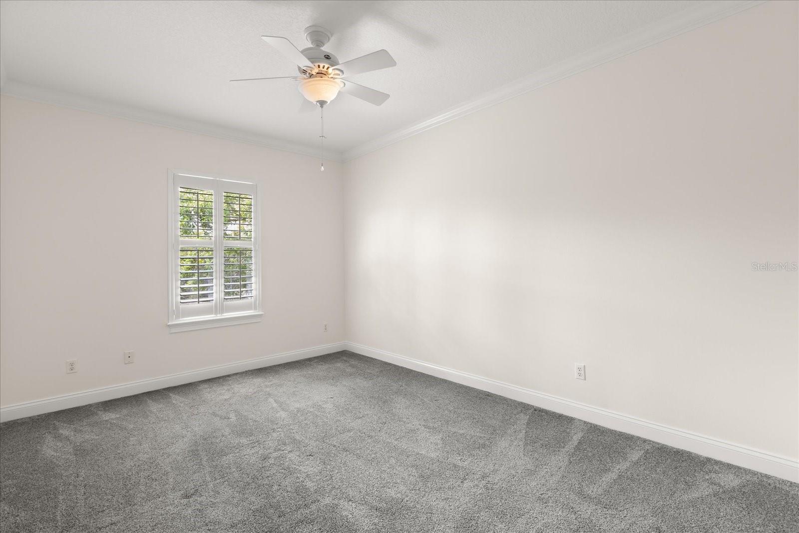 DIXIE TERRACE - Residential