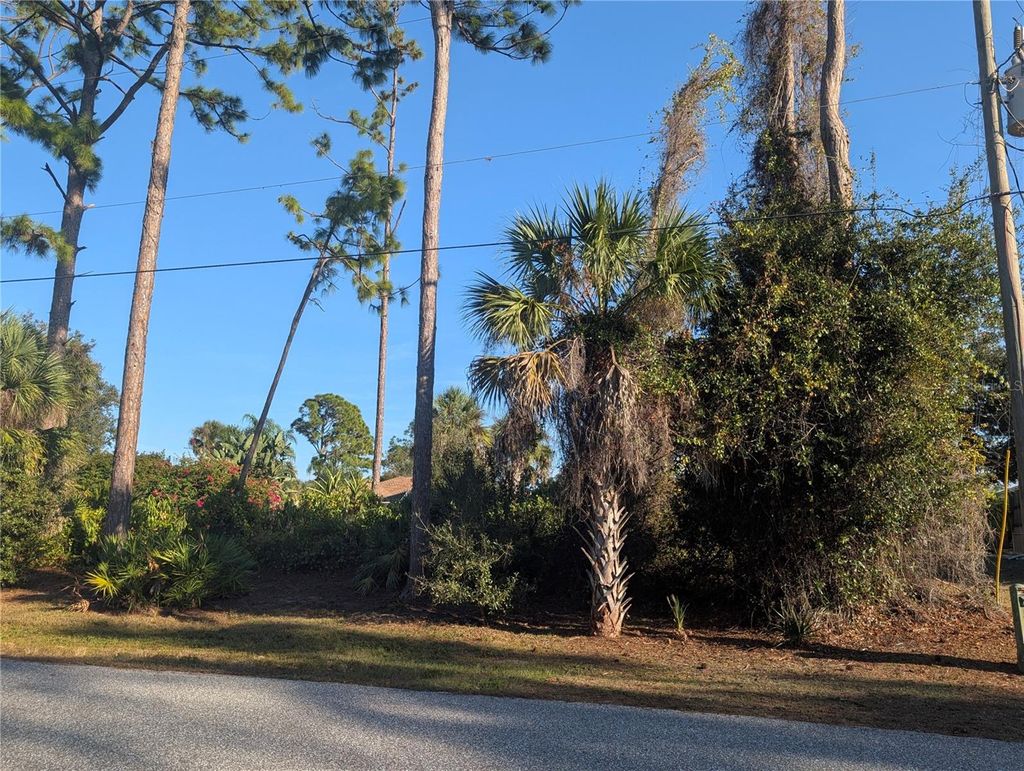 Photo of Tbd Branham Street, North Port, FL 34291 (MLS # TB8494831)