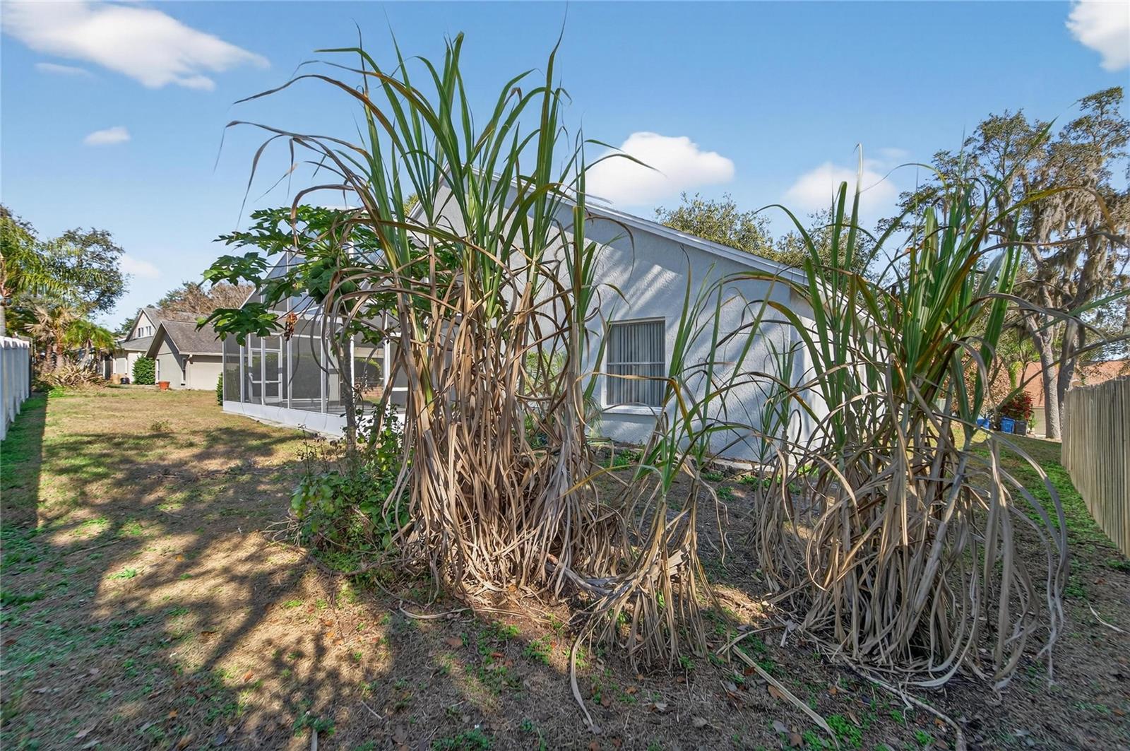 BLOOMINGDALE SEC BB PH - Residential Lease