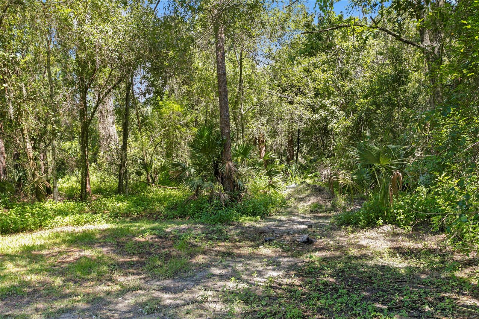 TWIN BRANCH ACRES UNIT FIVE - Residential