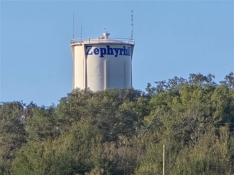 A home in ZEPHYRHILLS