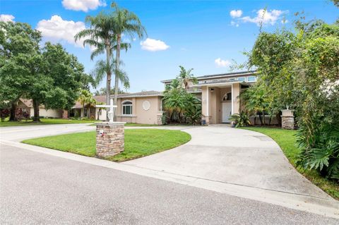 A home in PLANT CITY