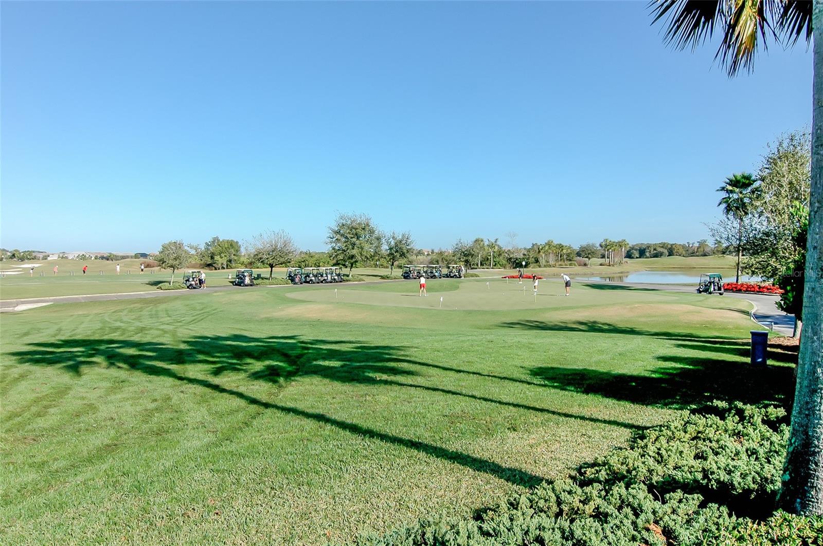 LAKEWOOD RANCH COUNTRY CLUB VILLAGE FF - Residential