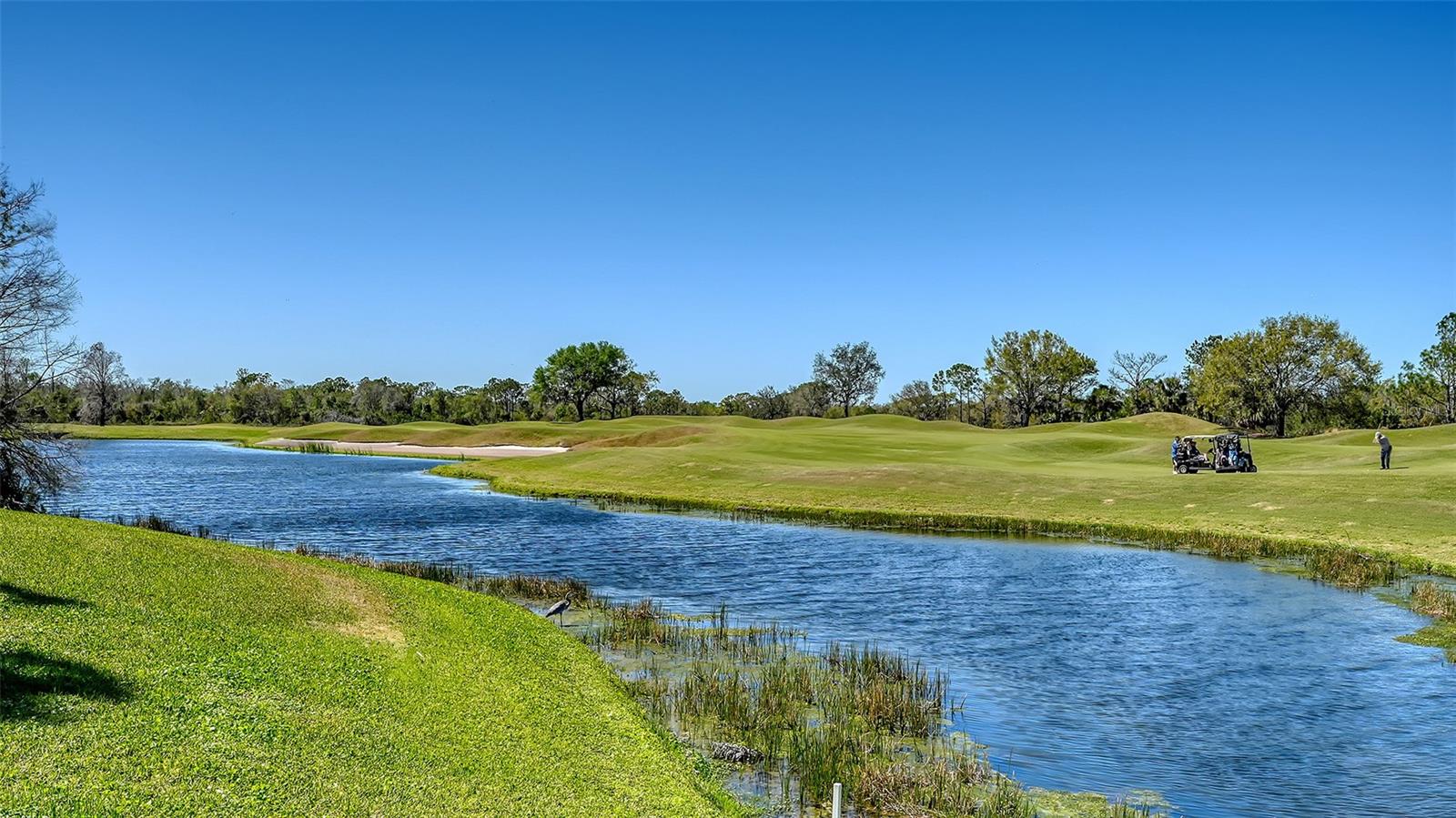 LAKEWOOD RANCH COUNTRY CLUB VILLAGE FF - Residential