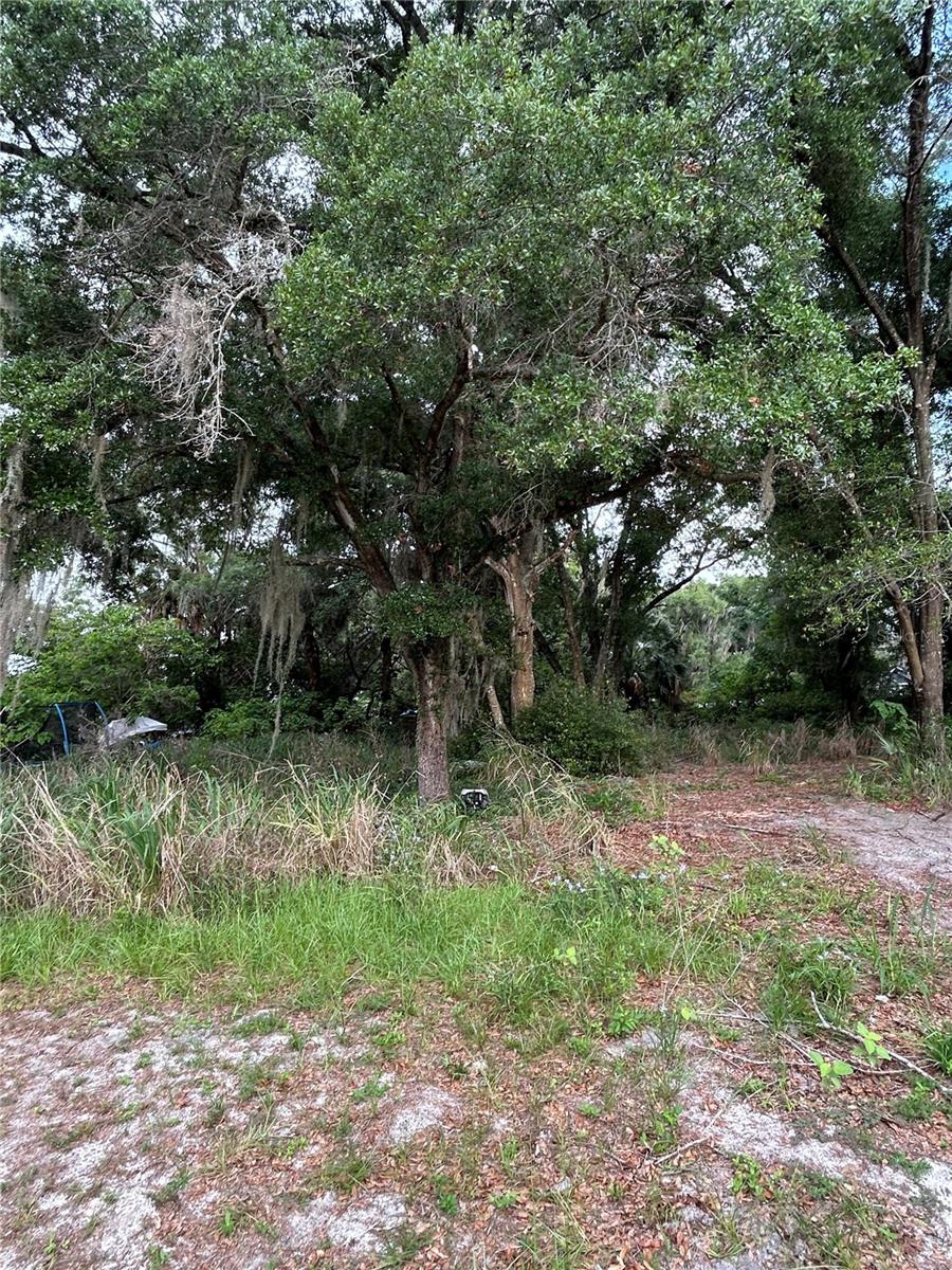 508 PALMETTO STREET