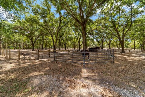 Tiny photo for 19551 SE 42nd Place, Morriston, FL 32668 (MLS # OM724189)