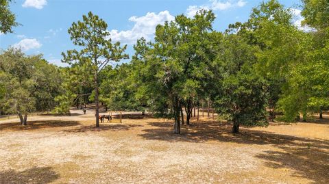 Tiny photo for 19551 SE 42nd Place, Morriston, FL 32668 (MLS # OM724189)