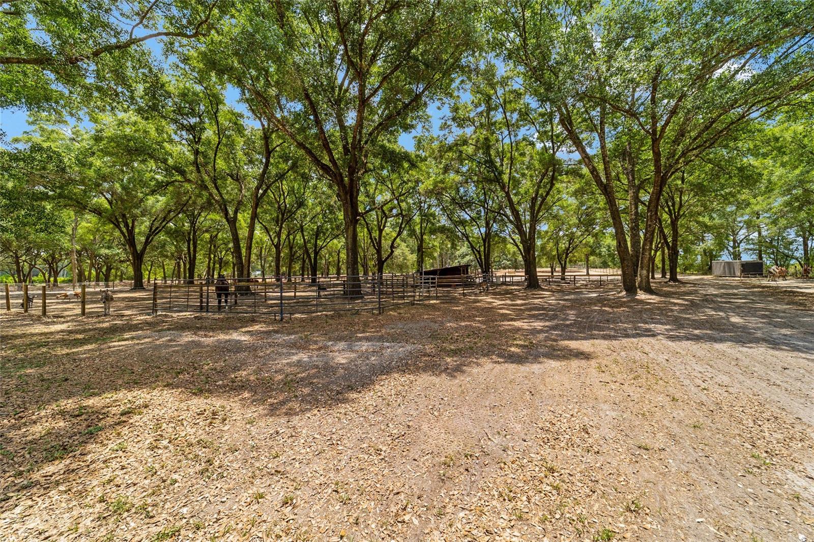 AG NONSUB - Residential