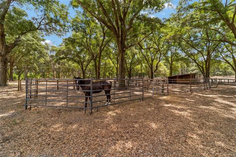 Tiny photo for 19551 SE 42nd Place, Morriston, FL 32668 (MLS # OM724189)
