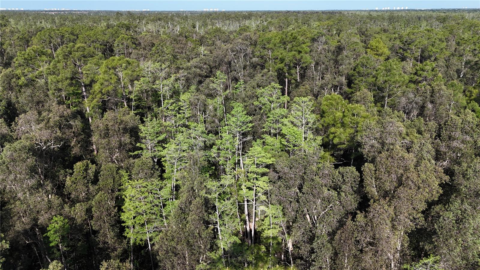 ACREAGE HEADER - Land