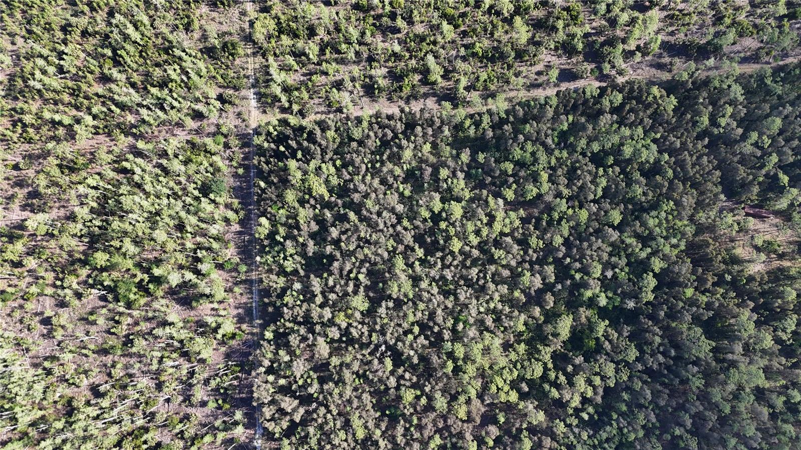 ACREAGE HEADER - Land