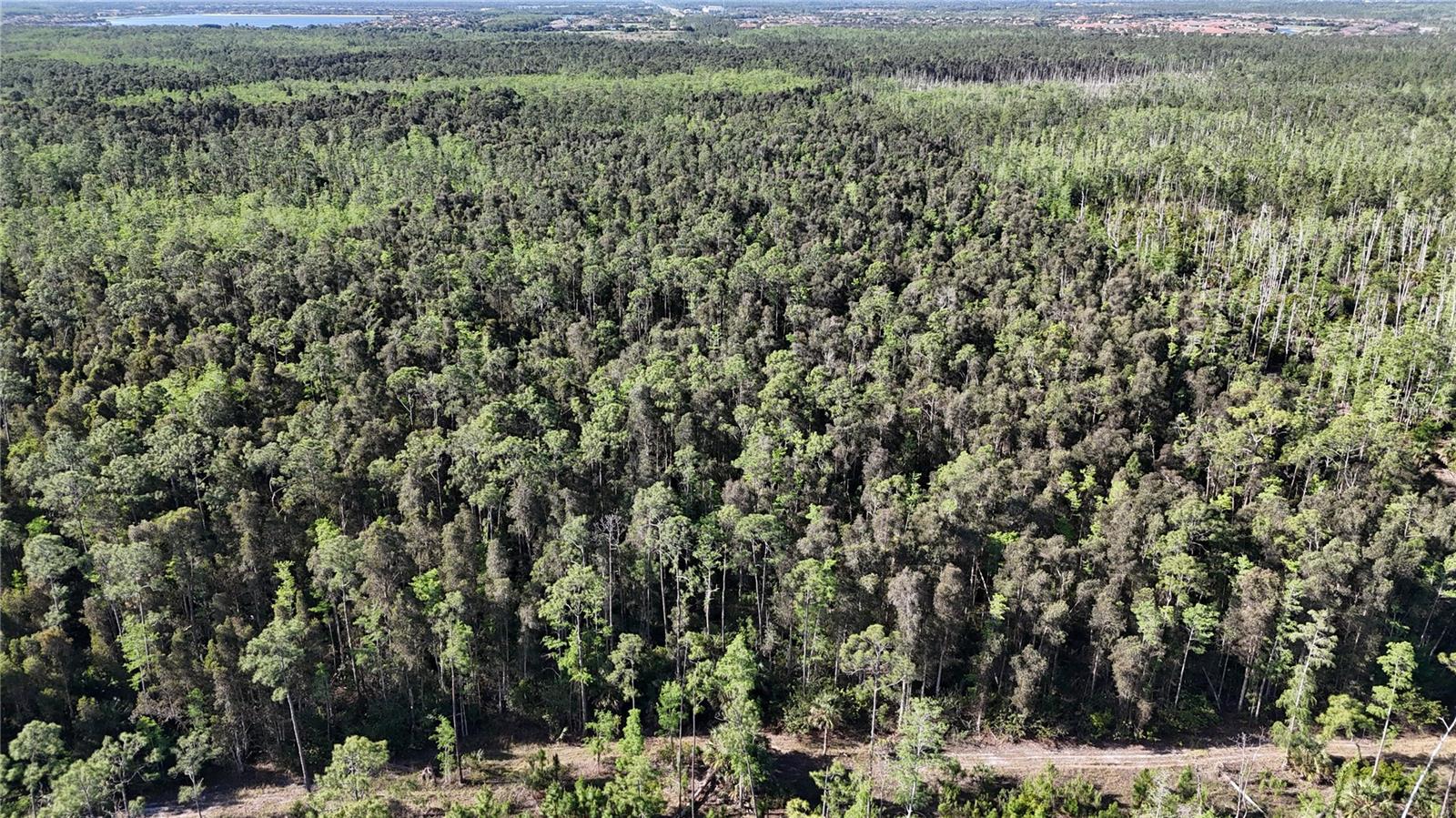 ACREAGE HEADER - Land