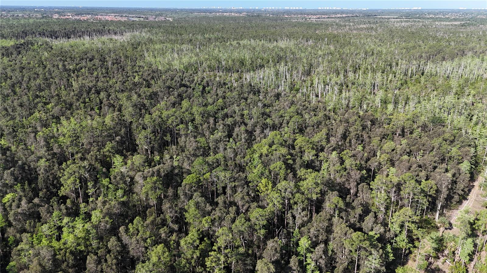 ACREAGE HEADER - Land