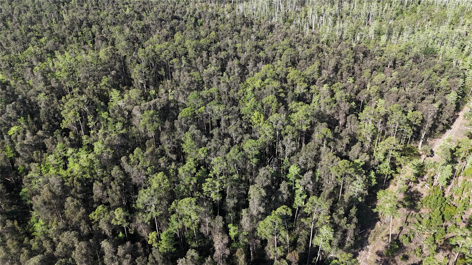 ACREAGE HEADER - Land