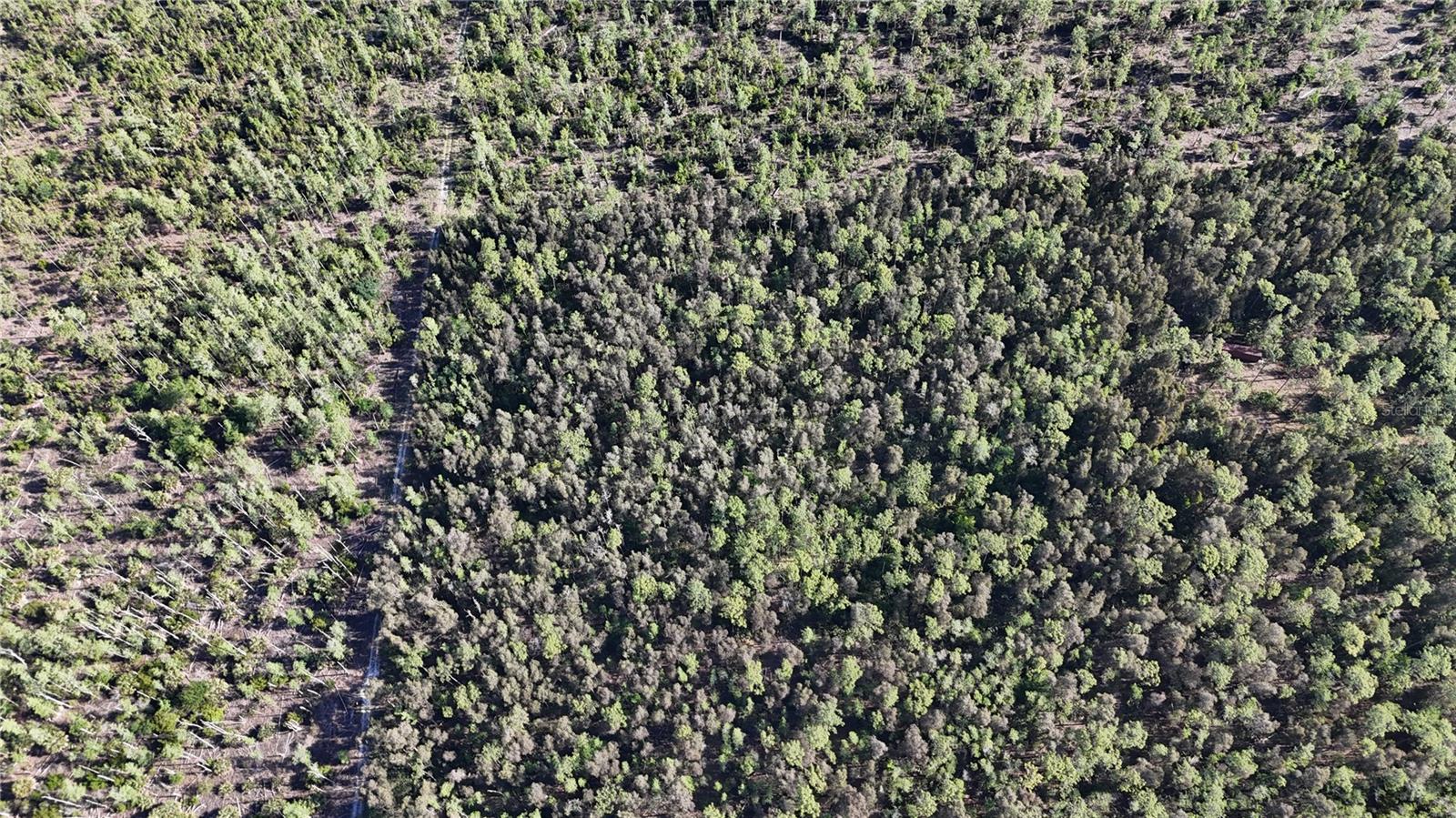 ACREAGE HEADER - Land