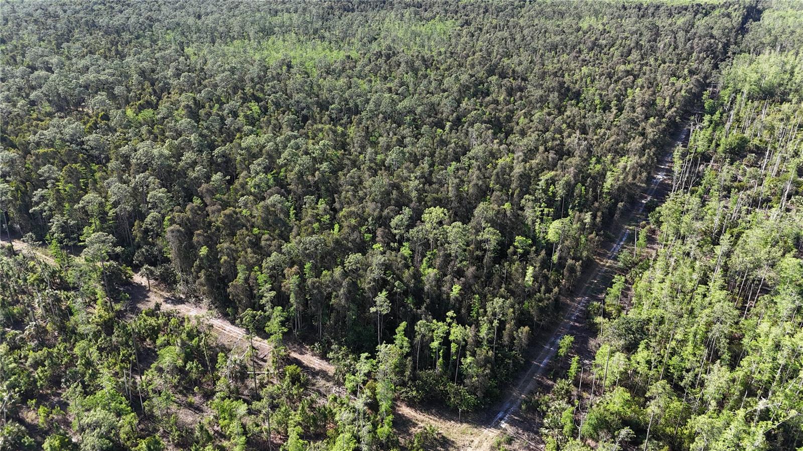 ACREAGE HEADER - Land