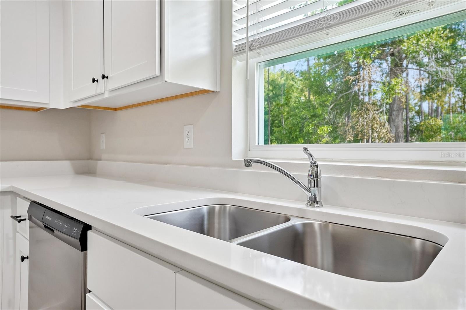 SILVER SPRINGS SHORES - Residential