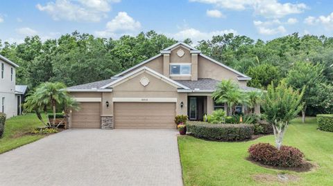 Photo of 19312 Sunset Bay Drive, Land O Lakes, FL 34638 (MLS # TB8390047)