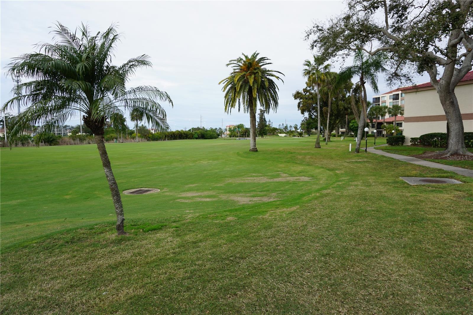 PALMA DEL MAR III - Residential