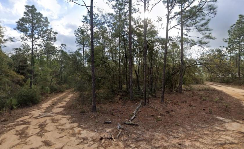 Escape to your own slice of Florida countryside! This .33 acre tract sits just off CR?315, and is oversized corner lot offering privacy and easy access to major routes. The level terrain makes it ideal for a weekend getaway cabin, off-grid homestead, or full-time residence. With utilities at the lot line, you’ll only need to install your well and septic. Enjoy peaceful mornings among the pines, and explore nearby boat ramps on the St. Johns River.
Zoning: Residential (R-1) – build one single-family home or Modular Home
Access: 400?ft frontage on maintained county dirt road
Terrain: Flat pine-flatwoods—minimal site prep
Utilities: Power along road; well & septic required (no HOA)
Elevation: ~20?ft—good drainage, low flood risk
Vegetation: Mature pines, palmettos, native turkey oak