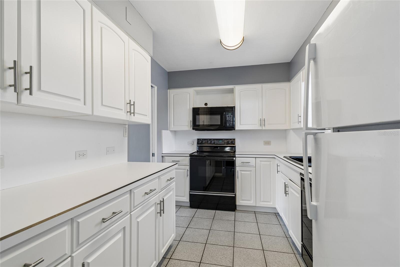 1365 N SNELL ISLE BOULEVARD NE 2E