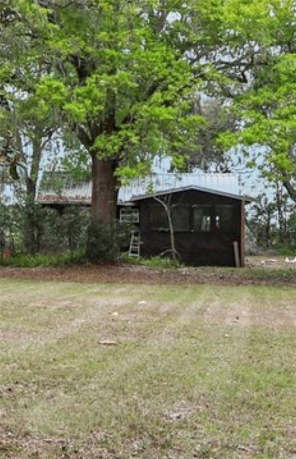 Photo of 35929 Valleybrook Avenue, Zephyrhills, FL 33541 (MLS # TB8485363)