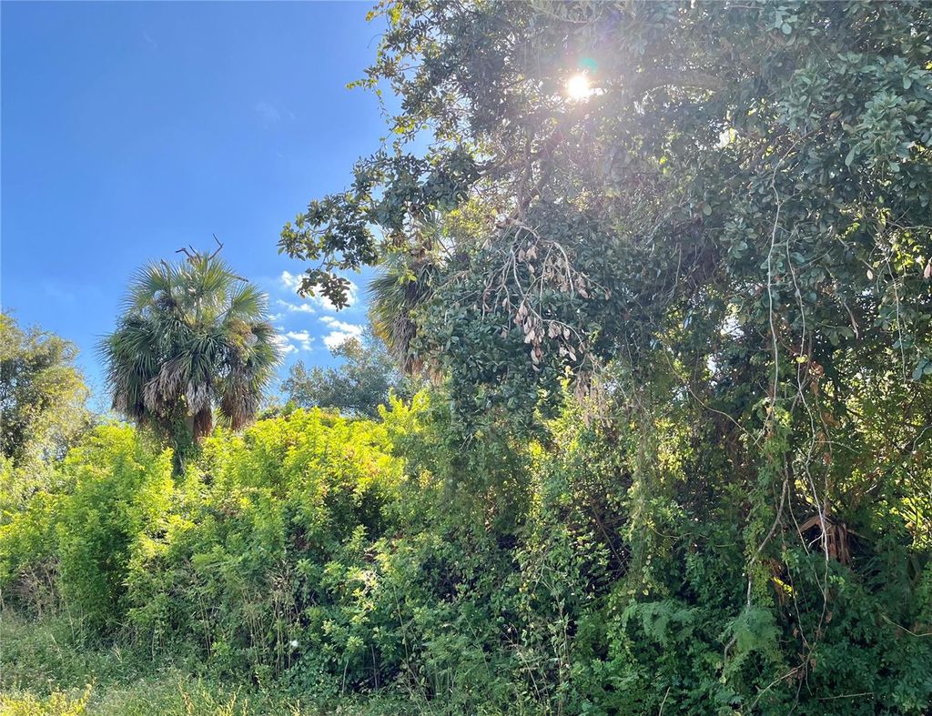 Photo of Port Charlotte, FL 33952 (MLS # A4669171)