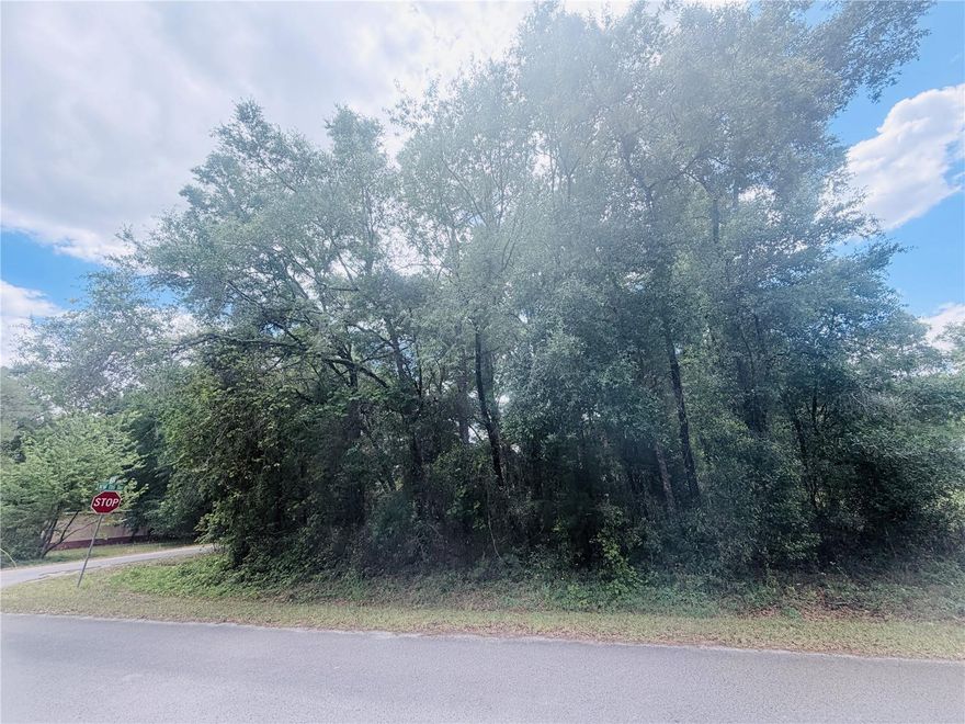 Once in a lifetime opportunity!!! This incredible vacant land is ready for you to build your dream home or make a smart investment. 
Zoned R4, on paved roads, this corner lot offers exceptional flexibility allowing for a block home, manufactured home, mobile home or even a container home. Don't miss out this versatile and valuable property, opportunities like this don't last!!! Make your appointment today!