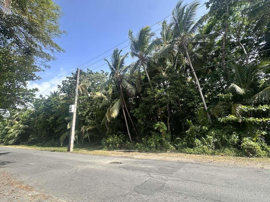 PR-968 KM 2.2 SECTOR LAS PICUAS