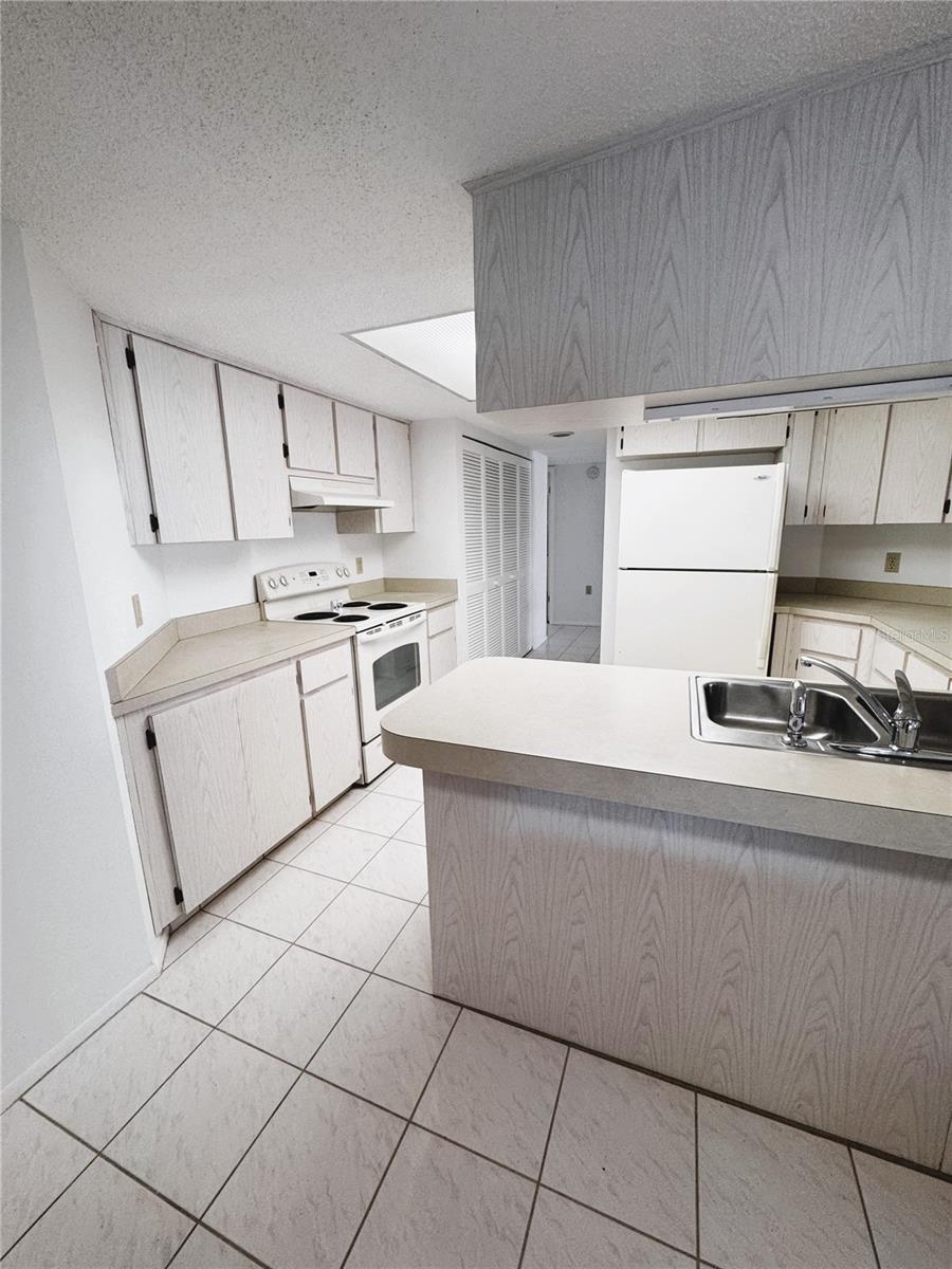 HOLIDAY LAKE VILLAS CONDO - Residential